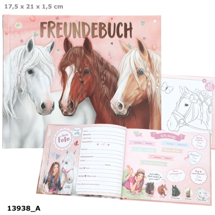 Miss Melody Freundebuch, Motiv 1